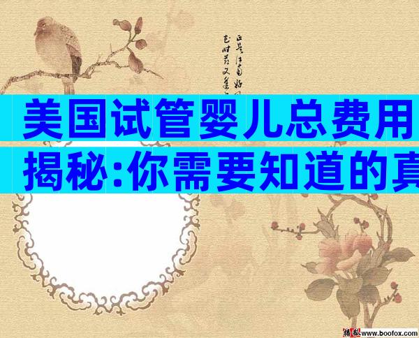 美国试管婴儿总费用揭秘:你需要知道的真相