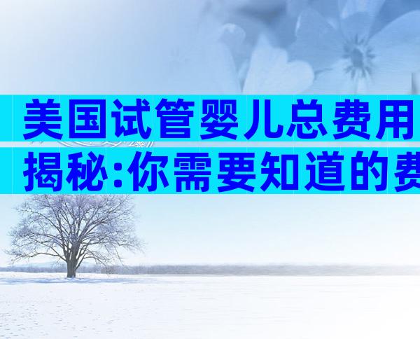 美国试管婴儿总费用揭秘:你需要知道的费用构成与花费分析