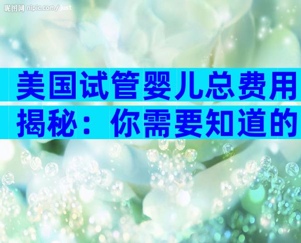美国试管婴儿总费用揭秘：你需要知道的费用构成与花费分析
