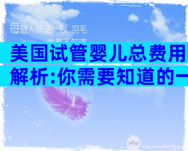 美国试管婴儿总费用解析:你需要知道的一切