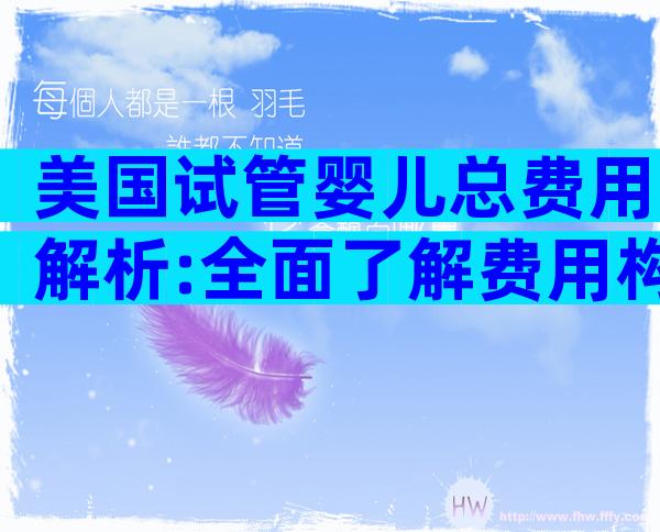 美国试管婴儿总费用解析:全面了解费用构成与预算建议