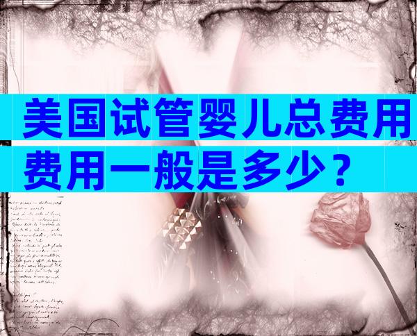 美国试管婴儿总费用费用一般是多少？