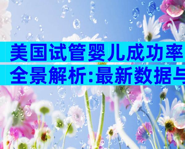 美国试管婴儿成功率全景解析:最新数据与影响因素