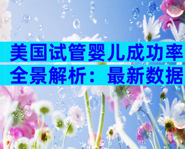 美国试管婴儿成功率全景解析：最新数据与影响因素