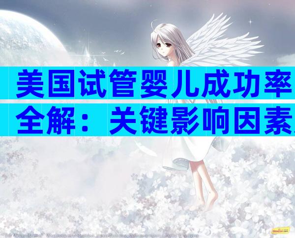 美国试管婴儿成功率全解：关键影响因素及最新真实数据一览