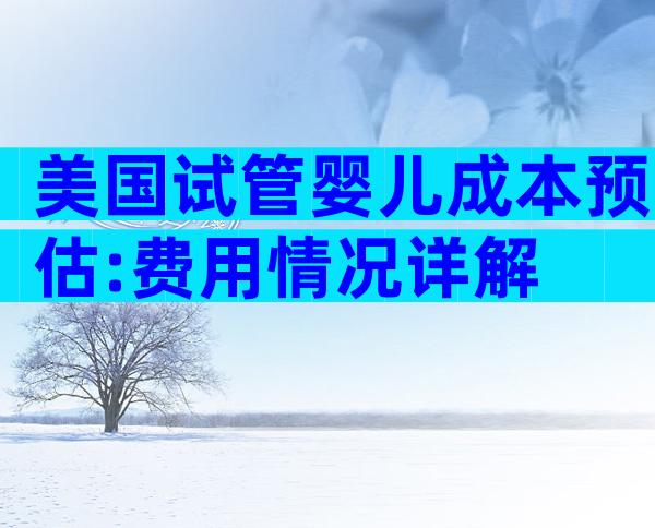 美国试管婴儿成本预估:费用情况详解