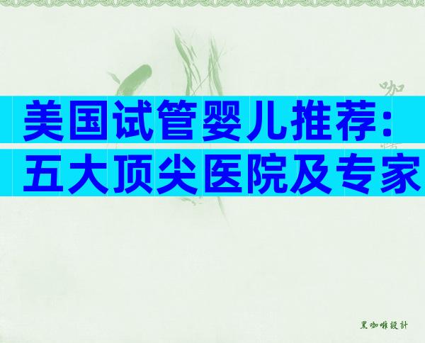 美国试管婴儿推荐:五大顶尖医院及专家深度解析