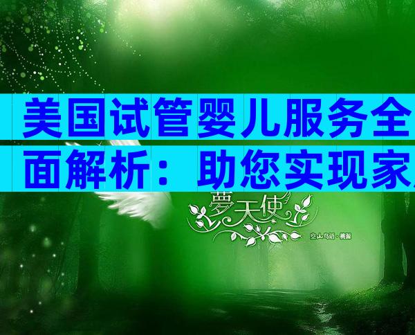美国试管婴儿服务全面解析：助您实现家庭梦想