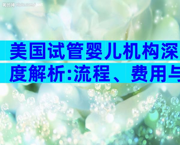 美国试管婴儿机构深度解析:流程、费用与选择要点