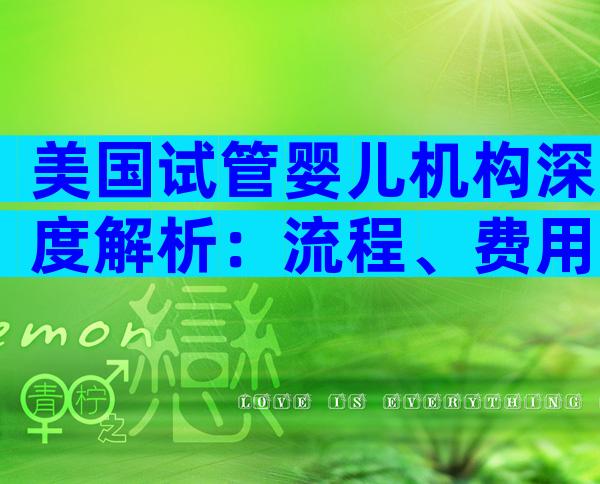 美国试管婴儿机构深度解析：流程、费用与选择要点