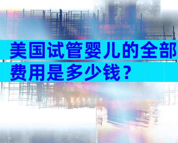 美国试管婴儿的全部费用是多少钱？