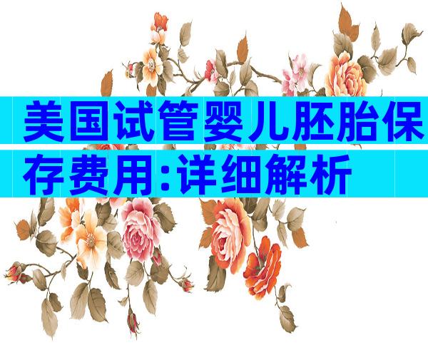 美国试管婴儿胚胎保存费用:详细解析