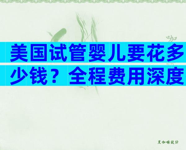 美国试管婴儿要花多少钱？全程费用深度拆解