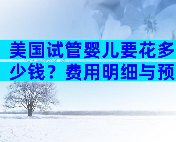 美国试管婴儿要花多少钱？费用明细与预算攻略
