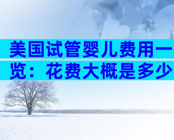美国试管婴儿费用一览：花费大概是多少？