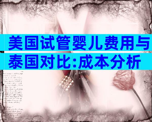 美国试管婴儿费用与泰国对比:成本分析