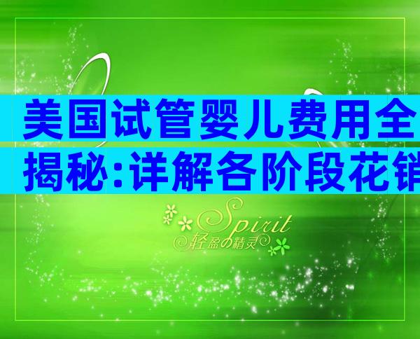 美国试管婴儿费用全揭秘:详解各阶段花销