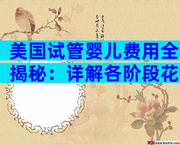 美国试管婴儿费用全揭秘：详解各阶段花销