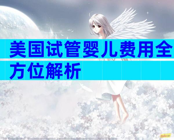 美国试管婴儿费用全方位解析