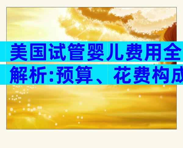 美国试管婴儿费用全解析:预算、花费构成及影响因素