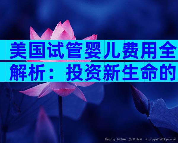 美国试管婴儿费用全解析：投资新生命的成本与考虑因素