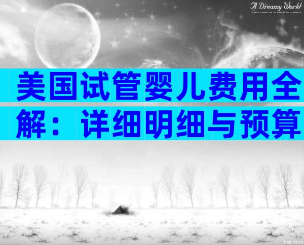 美国试管婴儿费用全解：详细明细与预算指南