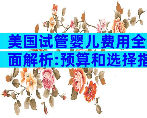 美国试管婴儿费用全面解析:预算和选择指南