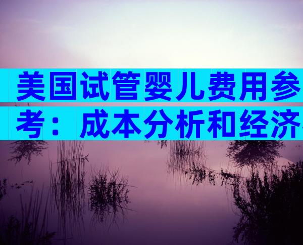美国试管婴儿费用参考：成本分析和经济考量