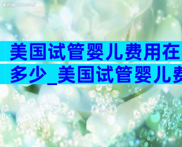 美国试管婴儿费用在多少_美国试管婴儿费用大概要多少钱