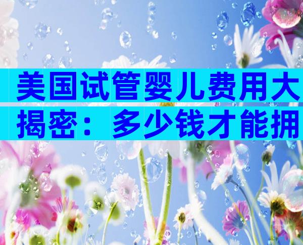 美国试管婴儿费用大揭密：多少钱才能拥抱生命？