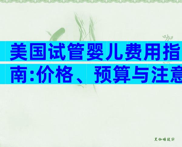 美国试管婴儿费用指南:价格、预算与注意事项