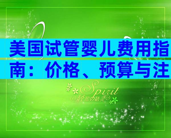 美国试管婴儿费用指南：价格、预算与注意事项
