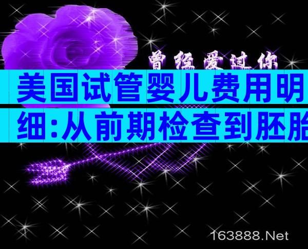 美国试管婴儿费用明细:从前期检查到胚胎移植的全流程预算