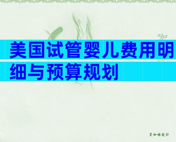 美国试管婴儿费用明细与预算规划