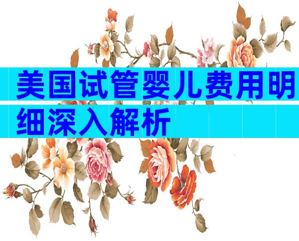 美国试管婴儿费用明细深入解析