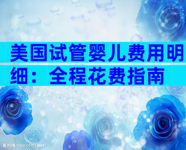 美国试管婴儿费用明细：全程花费指南