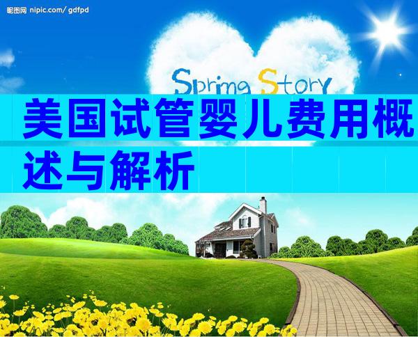 美国试管婴儿费用概述与解析