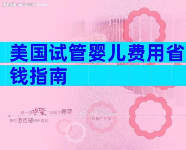 美国试管婴儿费用省钱指南