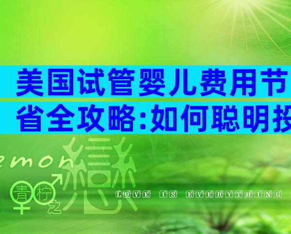 美国试管婴儿费用节省全攻略:如何聪明投资实现圆梦生子