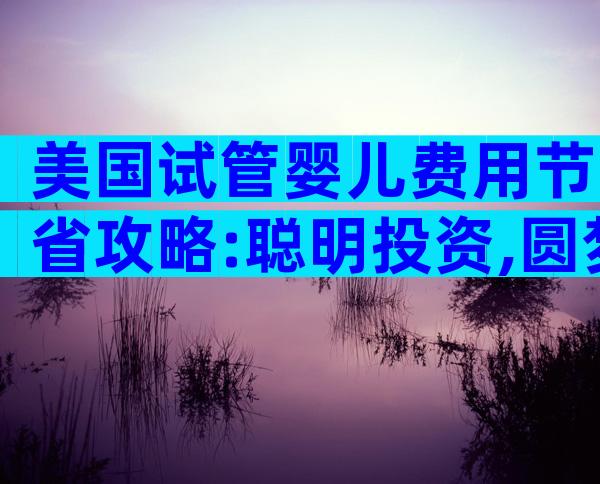 美国试管婴儿费用节省攻略:聪明投资,圆梦亲子之路
