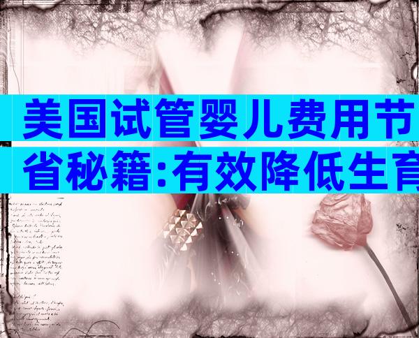 美国试管婴儿费用节省秘籍:有效降低生育成本的实用策略