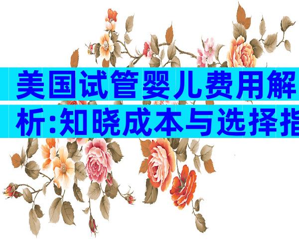 美国试管婴儿费用解析:知晓成本与选择指南