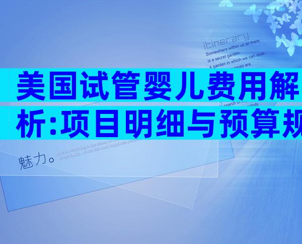 美国试管婴儿费用解析:项目明细与预算规划指南