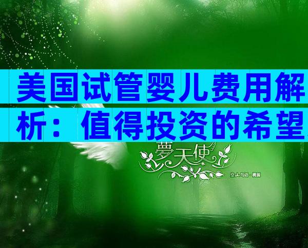 美国试管婴儿费用解析：值得投资的希望之路