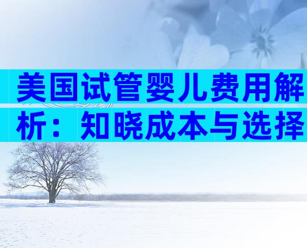 美国试管婴儿费用解析：知晓成本与选择指南