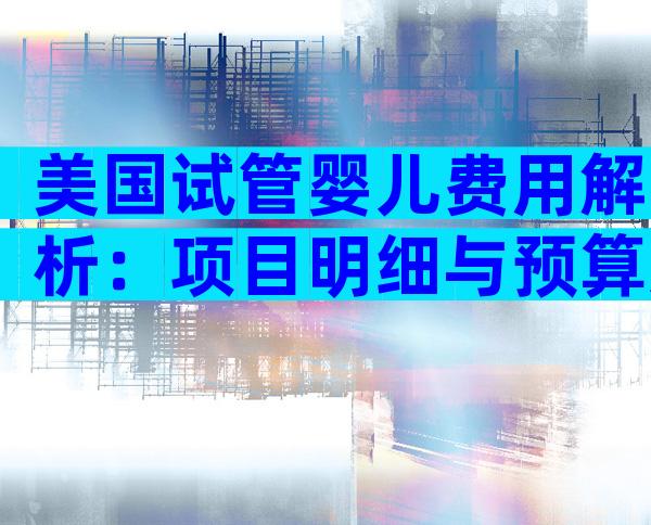 美国试管婴儿费用解析：项目明细与预算规划指南