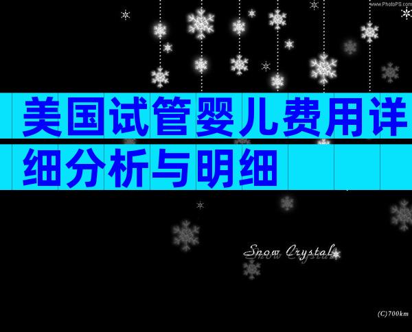 美国试管婴儿费用详细分析与明细