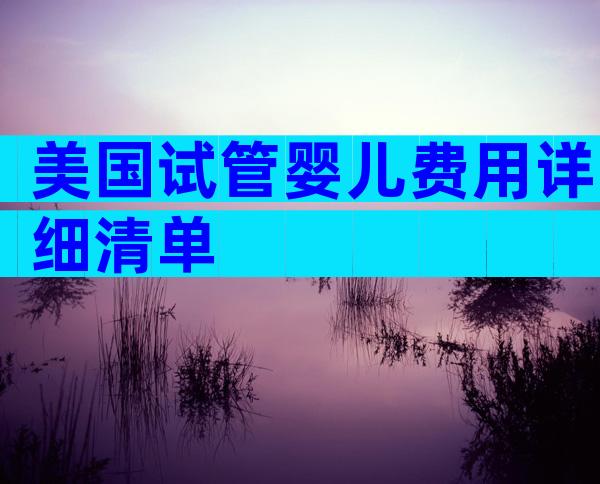 美国试管婴儿费用详细清单