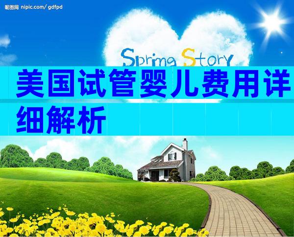 美国试管婴儿费用详细解析