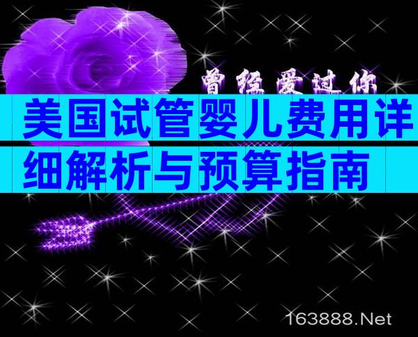 美国试管婴儿费用详细解析与预算指南